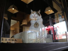 me̋Muwi܃~[WA jւ̓eʐ^1