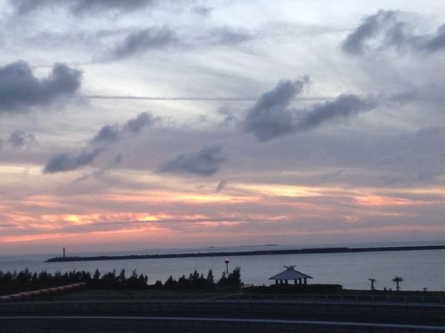 �J�̂����� �Ђ����肵�Ă܂���_�g�̏�r�[�`