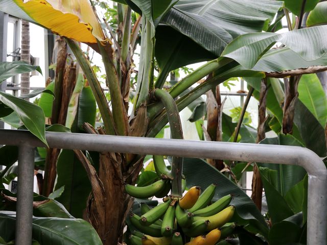 MѐAɎ̓͂ɃoiiI_ۓMѐA