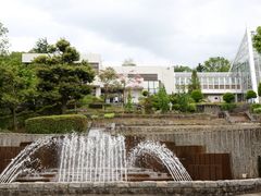 �Ƃ�����񂳂�̕ۓ������M�ѐA���������ւ̓��e�ʐ^1