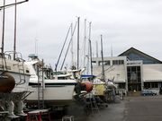 Ƃ񂳂̑lփ}[i̓eʐ^1