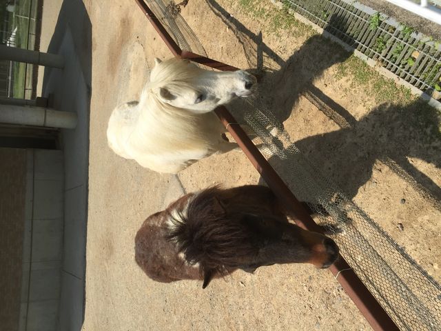 ���͂�_�򕌎s�{�Y�Z���^�[����