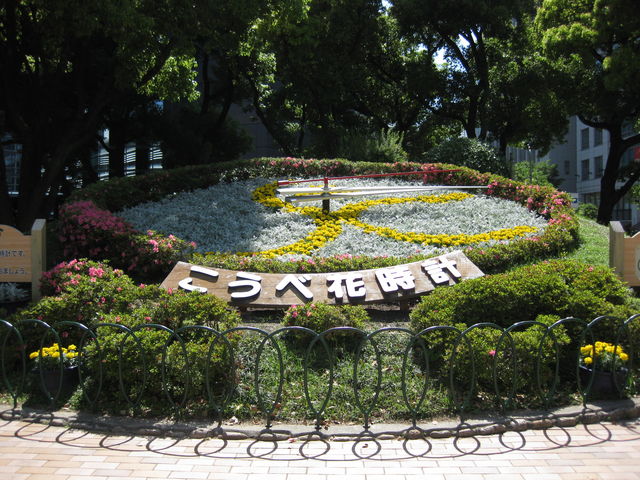 �G�ߓI�ɉԂ����Ȃ��̂��������т����B_�_�ˉԎ��v