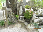 �S���S����̑基���̓��e�ʐ^1