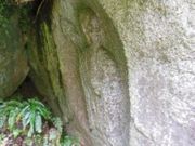 ͓dԂŃS[́mΕQnJX̚񑸁iɒnRj̓eʐ^3