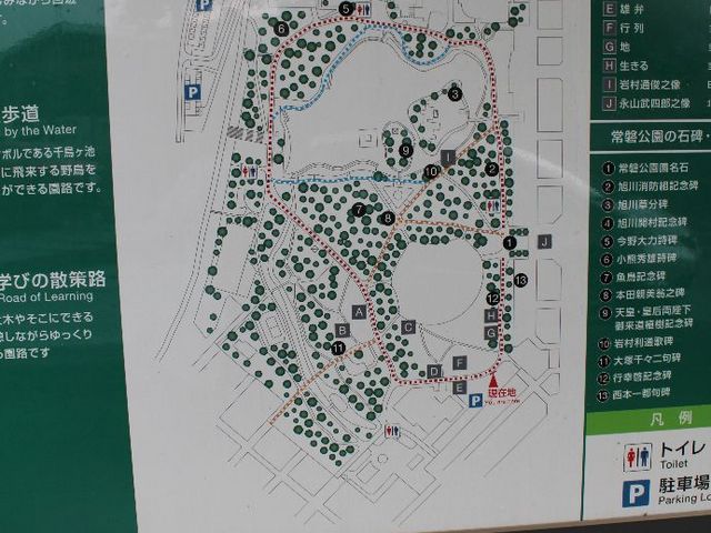 �����ē���_��֌���