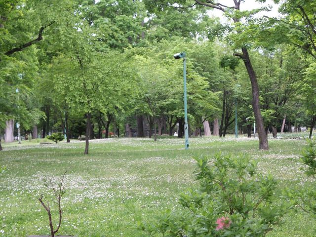 �������i�P_��֌���