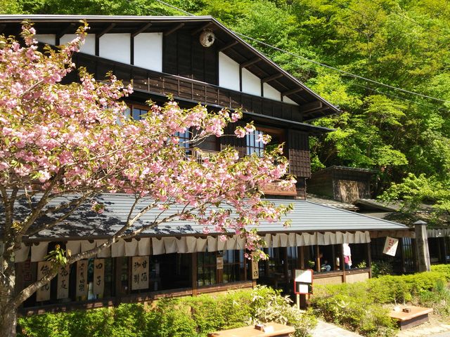 �����炢�Ă��Ă��ꂢ�ł����B_��⓻�V������