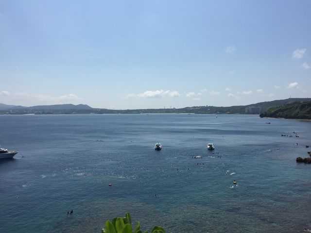 �^�h�c������̌i�F_���ꃊ�]�[�g��y��