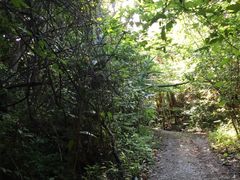 ς񂳂̃o`[ւ̓eʐ^1