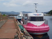 poyon36̃}r[[Ƃ̓eʐ^1