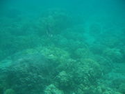 poyon36̃}r[[Ƃ̓eʐ^3