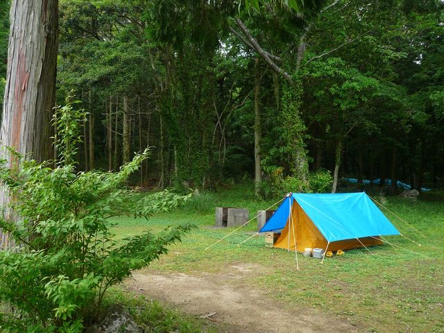 秋吉台家族旅行村キャンプ場 アクセス 営業時間 料金情報 じゃらんnet