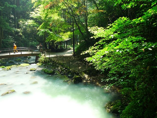 �ΊD�₪�n���o���āA���������Ă��܂�_�H�F��