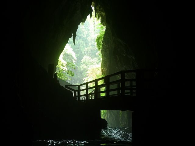 ���̓����������ĐU��Ԃ��_�H�F��