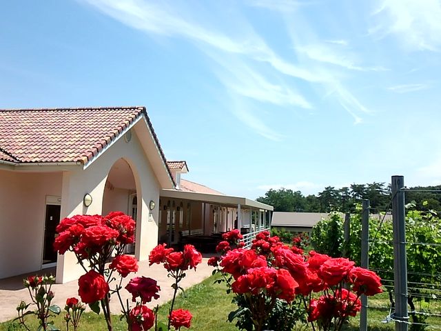 ׂ񂳂̈ܖ샏Ci[̓eʐ^1