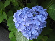 TATK̎Oˎ̃AWTC̓eʐ^3