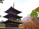 ゆずっぴさんの興福寺三重塔への投稿写真2