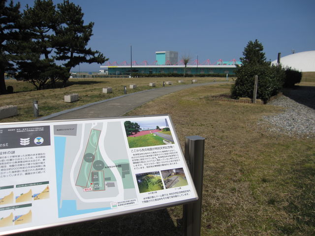 2016N3BejuÖvсvʓVRLOwꏊ_Öv