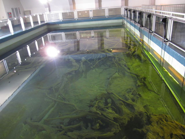 2016N3BejwʓVRLOuÖvсv_Öv