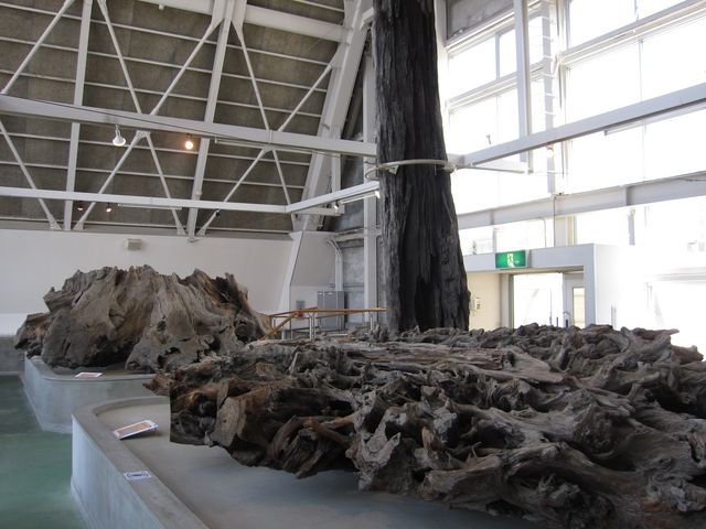 2016N3BejwʓVRLOuÖvсv_Öv