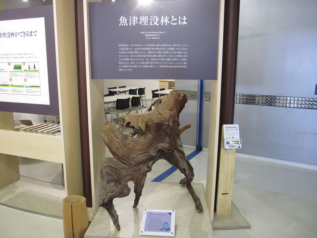 2016N3BejwʓVRLOuÖvсv_Öv