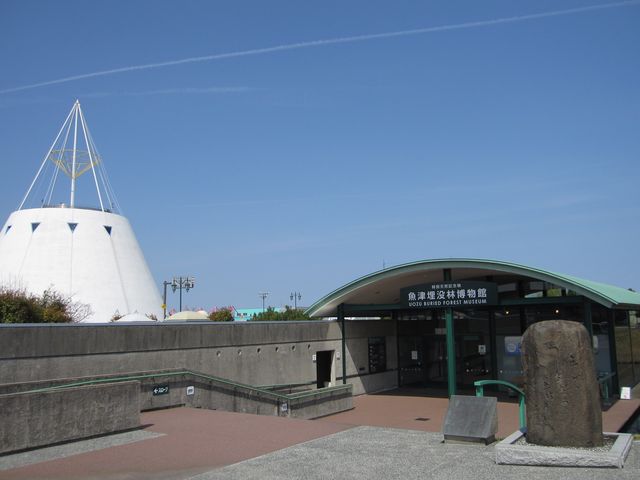 2016N3BejuÖvєفvO_Övє