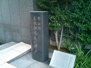 usa����̖������؉��̈�˂̓��e�ʐ^1