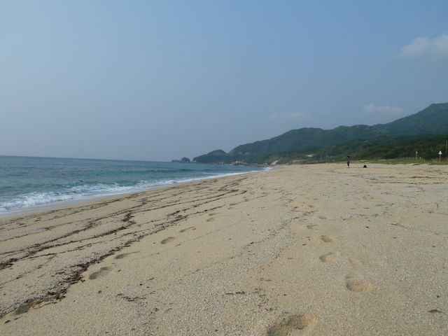 ���Ԃ̉i�c�l_�i�c�l