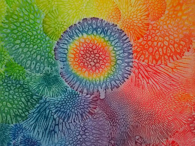 �Y��ł�_�񗢗���