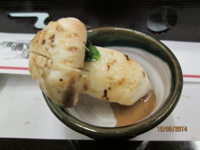 ����_�⍑���ۊό��z�e��