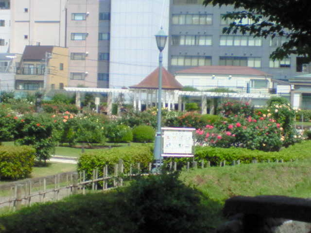 �u�������j�فv�̗���A���\�L���Č�������������܂��B_�{������������