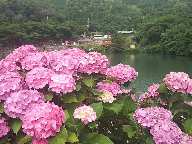 �`������@���������Ղ�
��Ƀ��r����_�`������