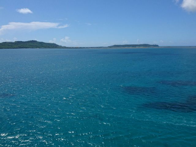 ���I_�}�����A�C�����h