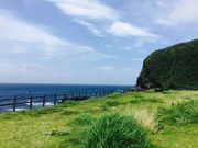 �Ȃ݂���̖�c�l�V�j��̓��e�ʐ^4