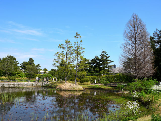�l������_�l������