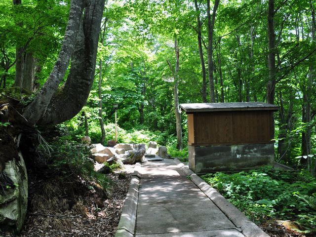 ���̊₪�I�V���C�A�E�̏����݂����̂��E�ߏ��ł��B_�J�������I�V���C