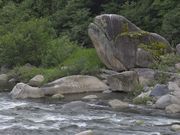 ӂ݂񂳂̖ؑ]@^̓eʐ^1