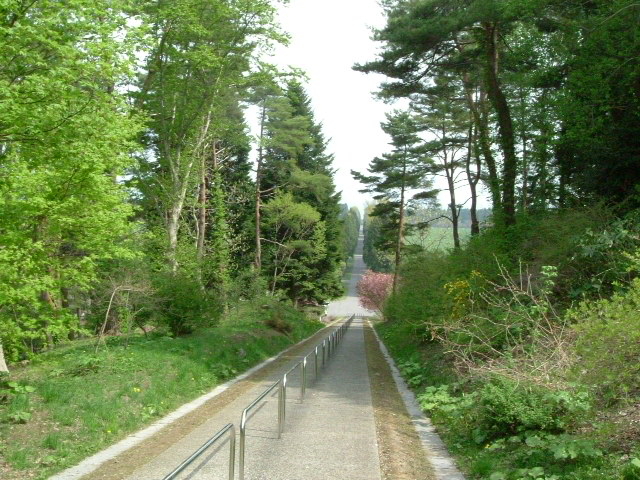 �C���@�̏ォ��_�����V�g�[���̐����C���@�i�g���s�X�g�C���@�j