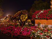 YOSHIKAZŮyق̓eʐ^3