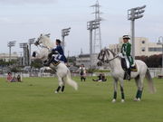 炰񂳂̐苣n̓eʐ^1