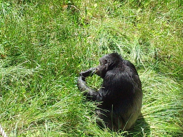 �����ɖ����������T������_�~�R������