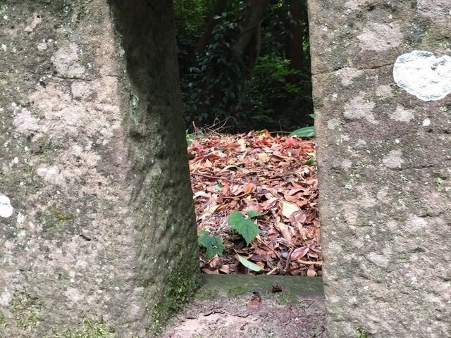 ̐΂č犄ڂȂł_v\RƋ{