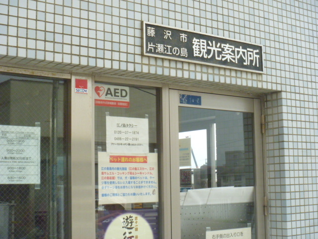 gV[̓sА]̓όē̓eʐ^1