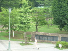 トシローさんの湘南台公園の投稿写真1
