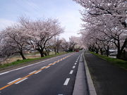 korikori̓c؂̓eʐ^1