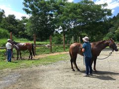 LeBTANIMOTO HORSE RANCHւ̓eʐ^1