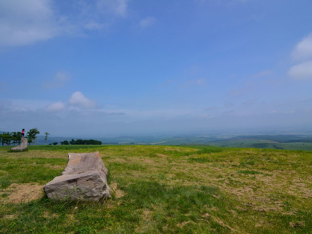 �i�C�^�C�����q��_�i�C�^�C�����q��i�C�^�C�e���X