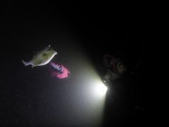 Batäɓ_CrOXN[ gbcւ̓eʐ^1