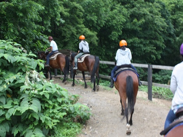 CNg[`ō̎vo肪ƂI_CNg[`